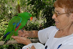 0706 Birdworld Kuranda